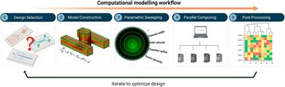 Computational Modelling and Big Data Analysis of Flow and Drug Transport in Microfluidic Systems: A Spheroid-on-a-Chip Study